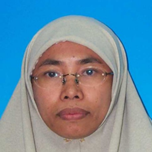 Wan Noraini Mohd Salim